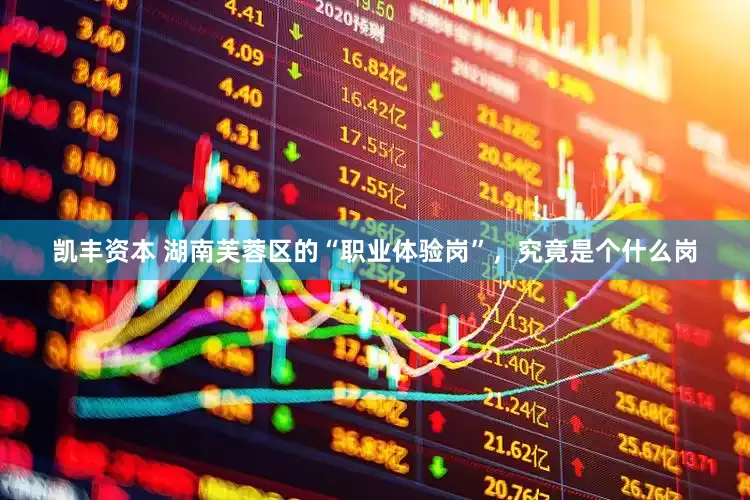 凯丰资本 湖南芙蓉区的“职业体验岗”，究竟是个什么岗