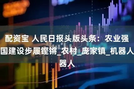 配资宝 人民日报头版头条：农业强国建设步履铿锵_农村_庞家镇_机器人