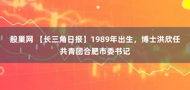 股巢网 【长三角日报】1989年出生，博士洪欣任共青团合肥市委书记