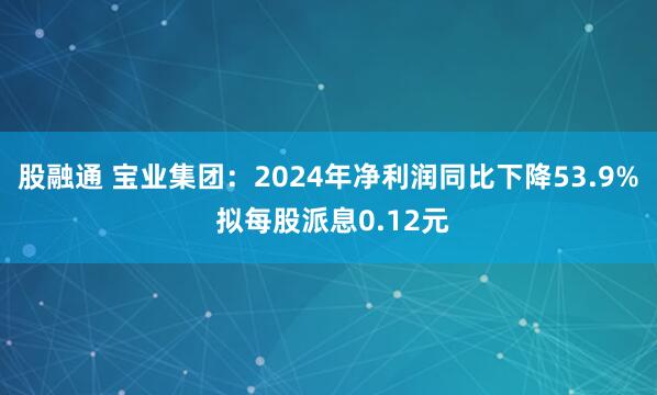 股融通 宝业集团：2024年净利润同比下降53.9% 拟每股派息0.12元