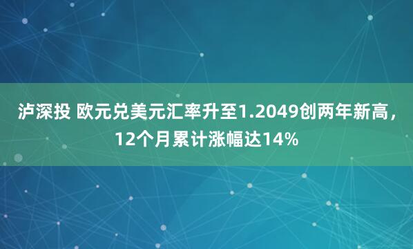 泸深投 欧元兑美元汇率升至1.2049创两年新高，12个月累计涨幅达14%
