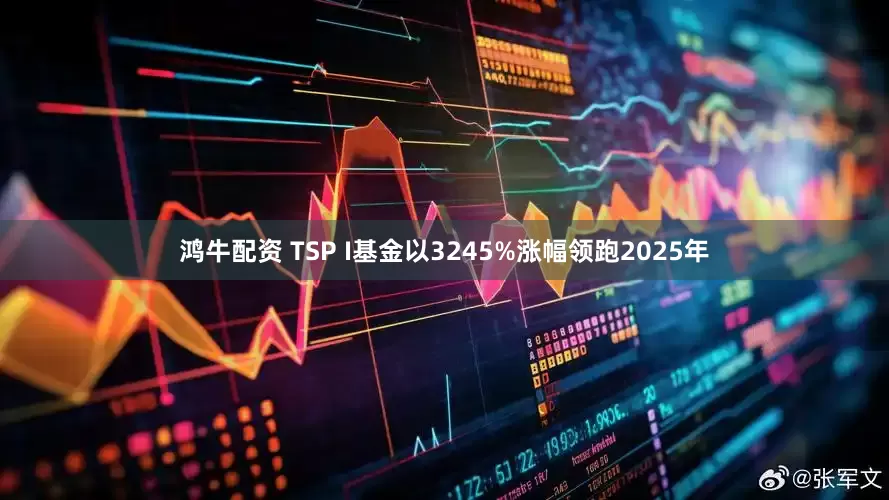 鸿牛配资 TSP I基金以3245%涨幅领跑2025年